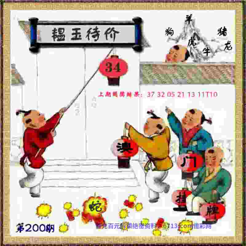 >新奥开什么今晚