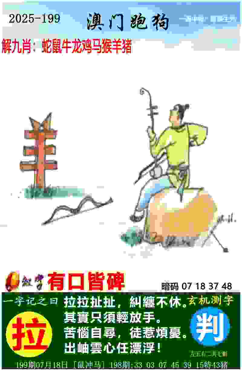 >新奥开什么今晚